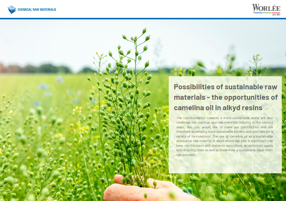Camelina Oil Flyer
