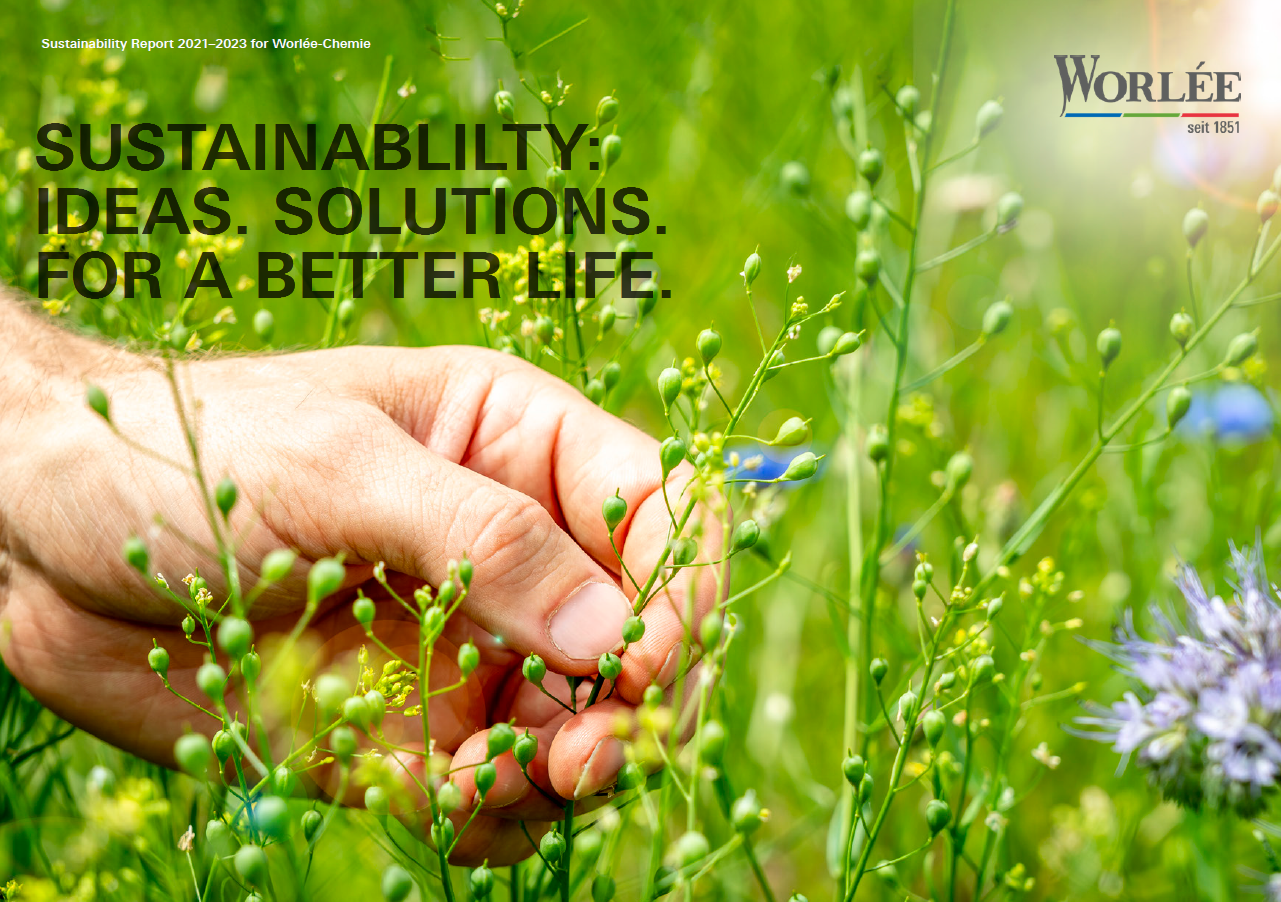 Sustainability Report 2021-2023