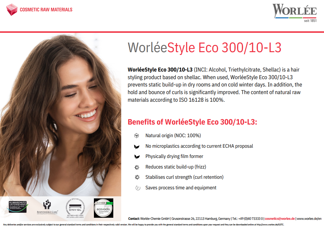 Flyer WorléeStyle Eco 300/10 L3
