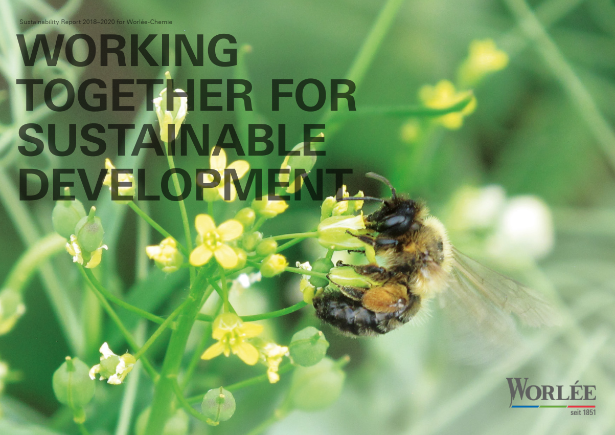 Sustainability Report 2018-2020