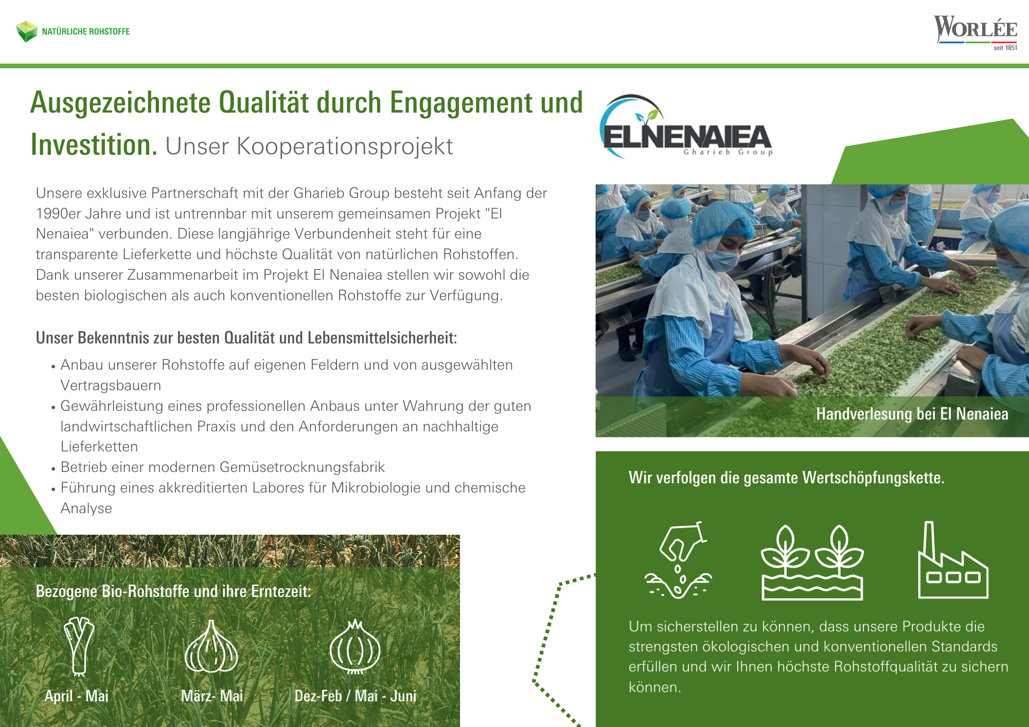 WNP Flyer El Nenaiea