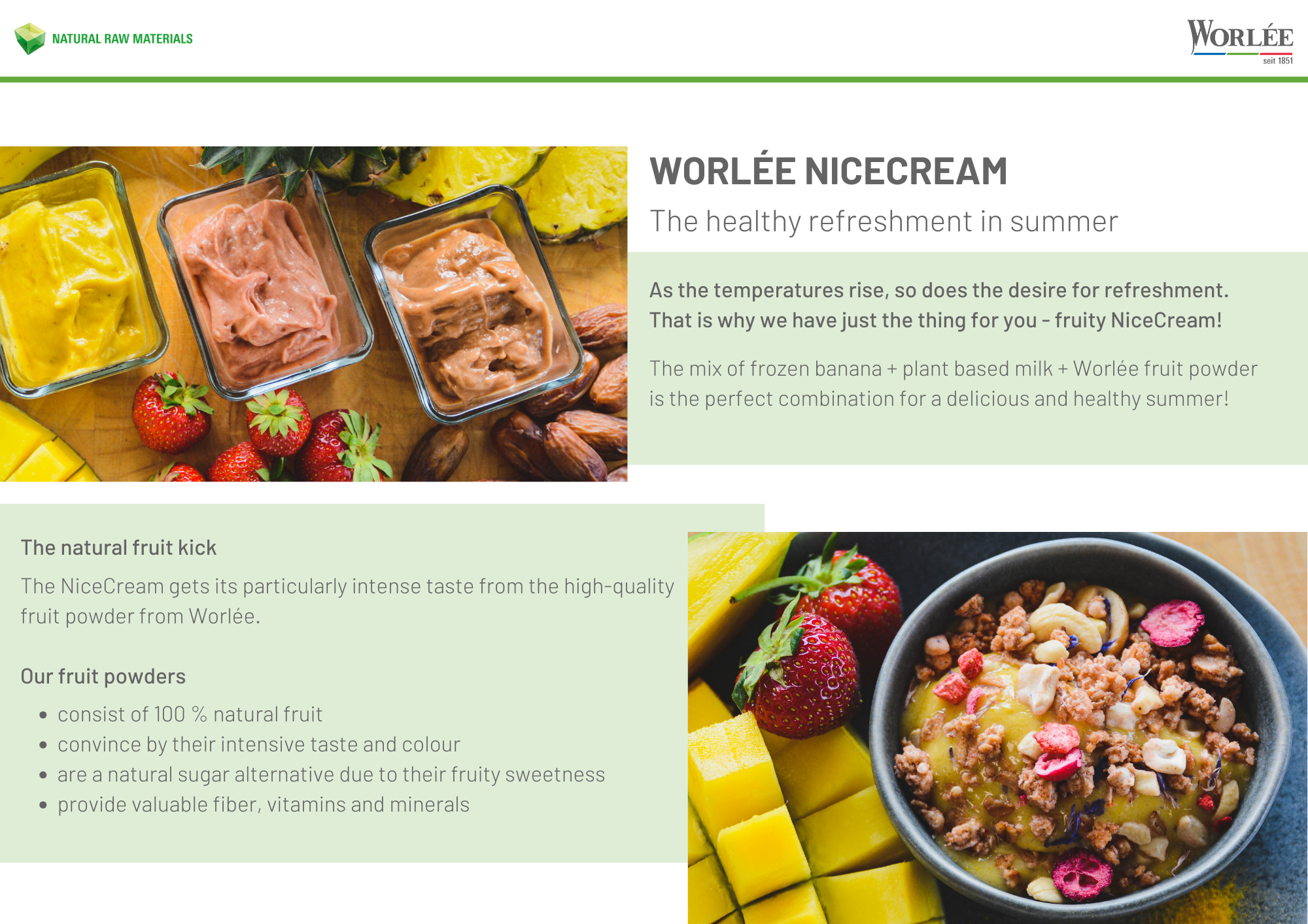 WNP Flyer Nice Cream（英文）